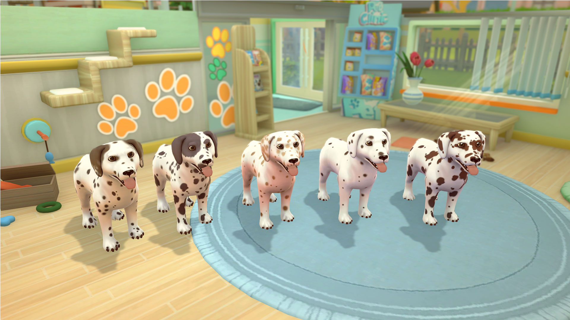 My Universe: Pet Clinic Cats & Dogs + Panda Edition | Microids