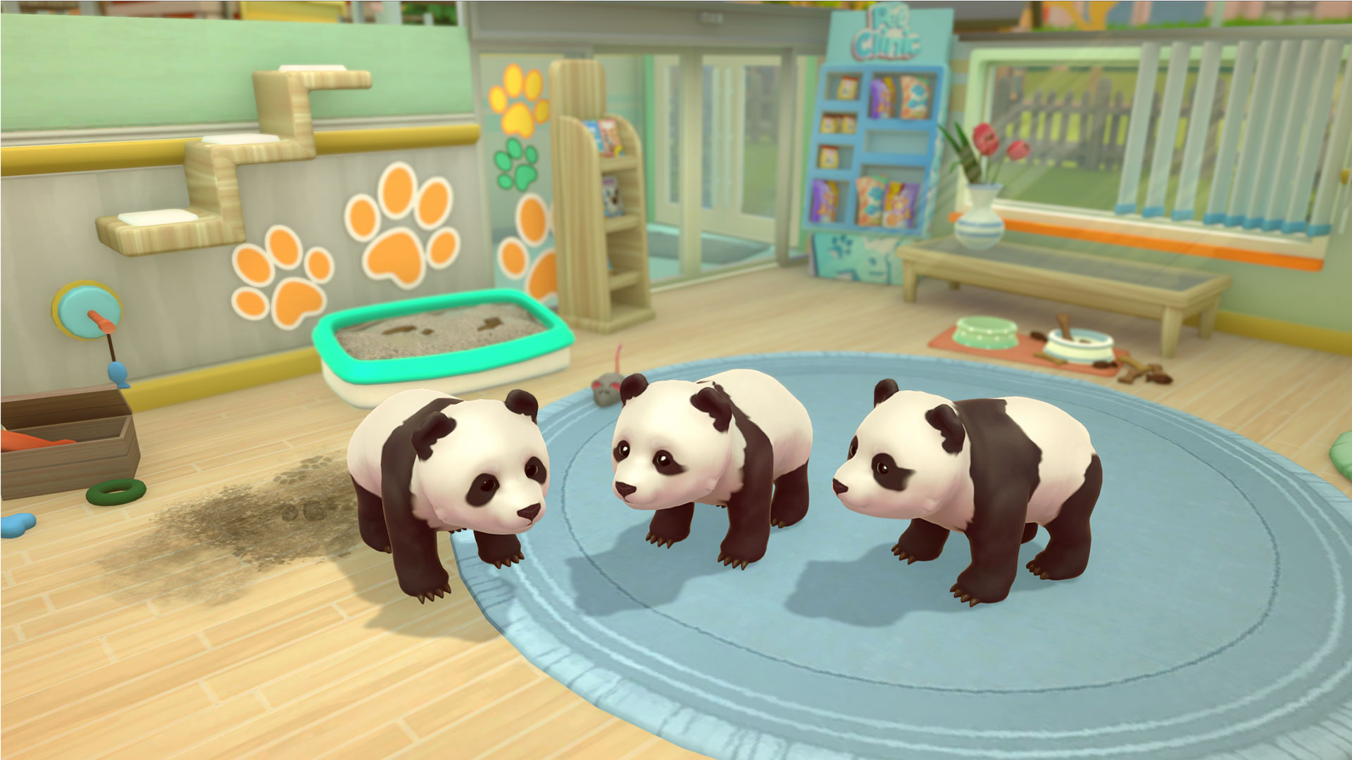 My Universe: Pet Clinic Cats & Dogs + Panda Edition | Microids