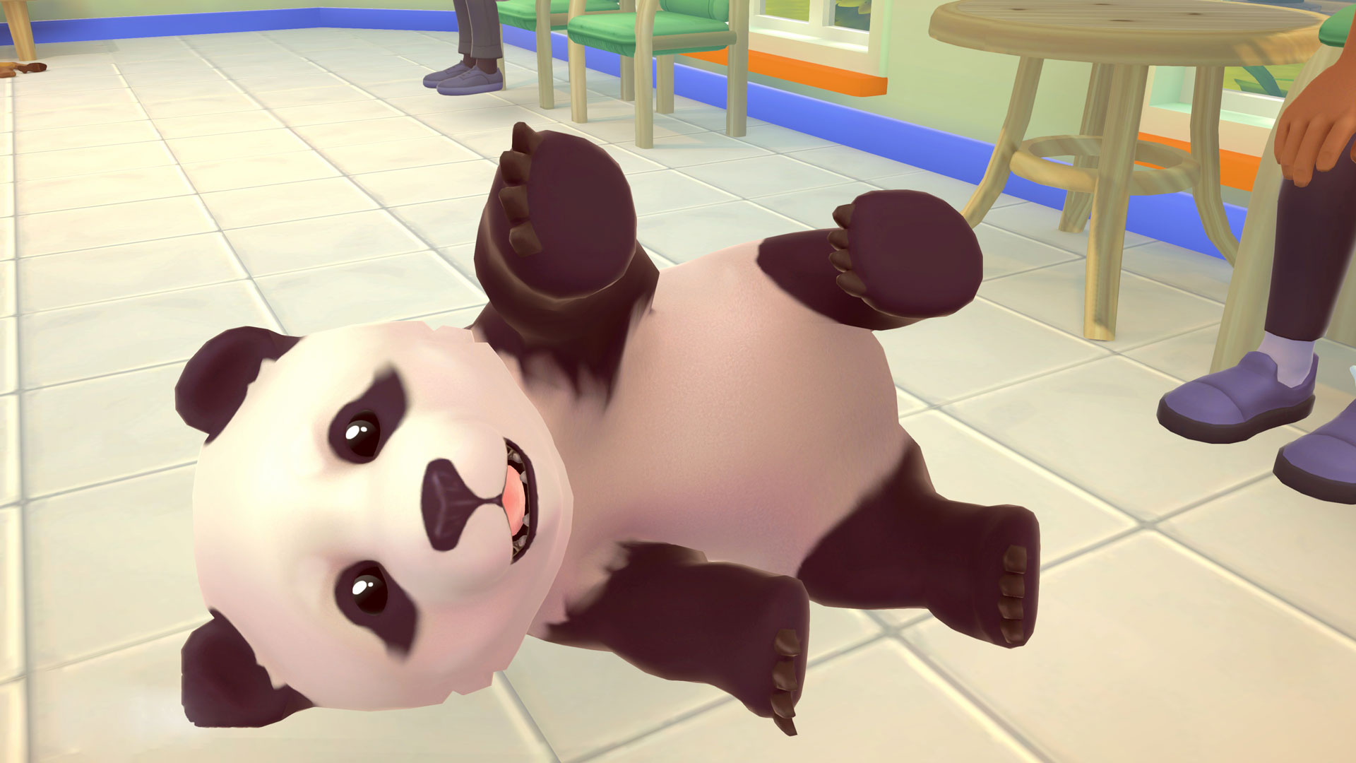 My Universe: Pet Clinic Cats & Dogs + Panda Edition | Microids