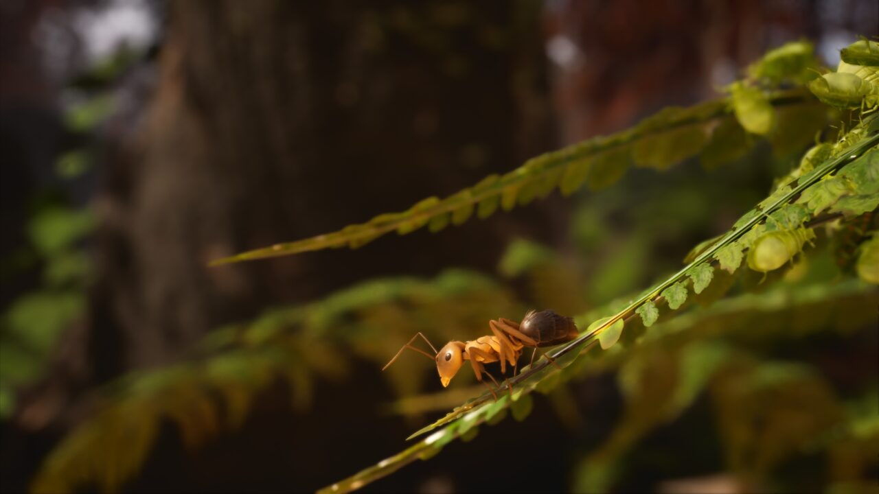 LesFourmis-screenshot5