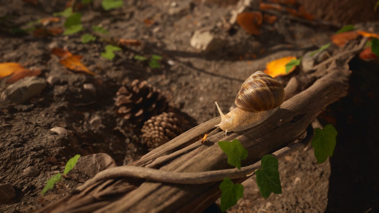 LesFourmis-screenshot6